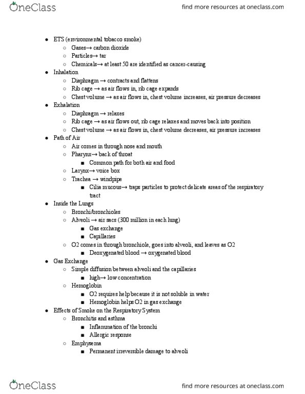 BISC104 Lecture Notes - Lecture 22: Trachea, Pharynx, Bronchiole thumbnail