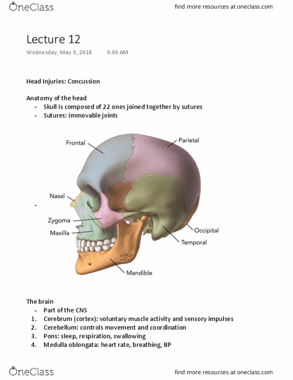 document preview image