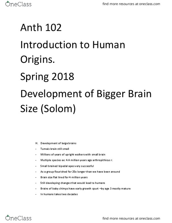 ANTH 102 Lecture Notes - Lecture 50: Neocortex, Bipedalism, Brain Size thumbnail