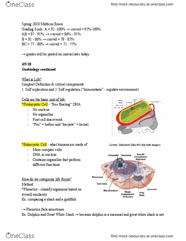 document preview image