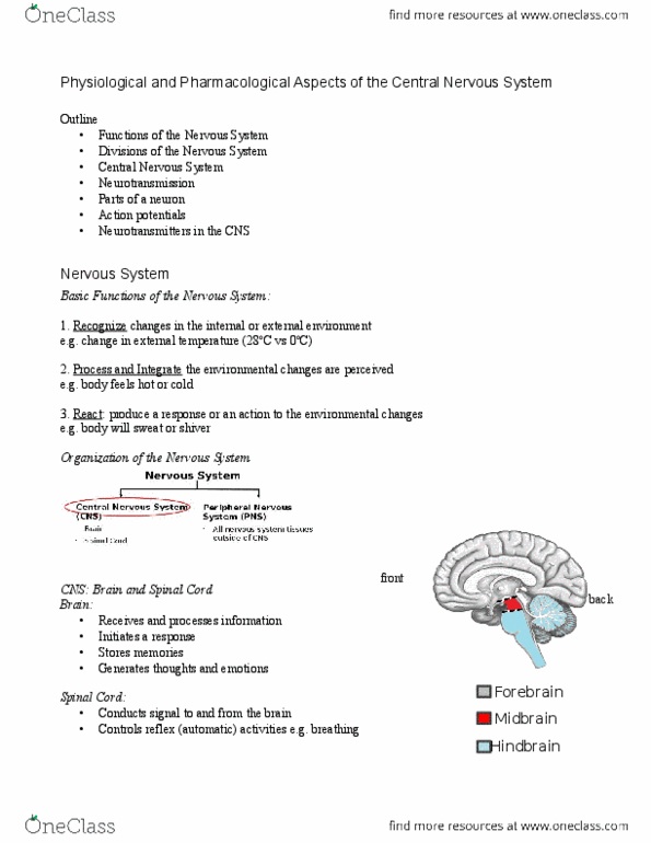 PHAR 100 Lecture Notes - Diazepam, Autonomic Nervous System, Hindbrain thumbnail