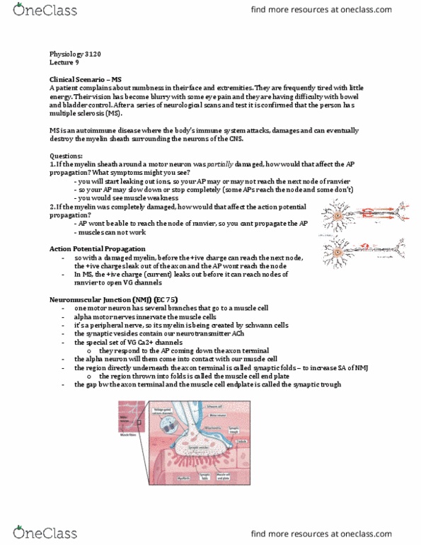 Physiology 3120 Lecture Notes - Lecture 9: Botulism, Ion, Clostridium thumbnail
