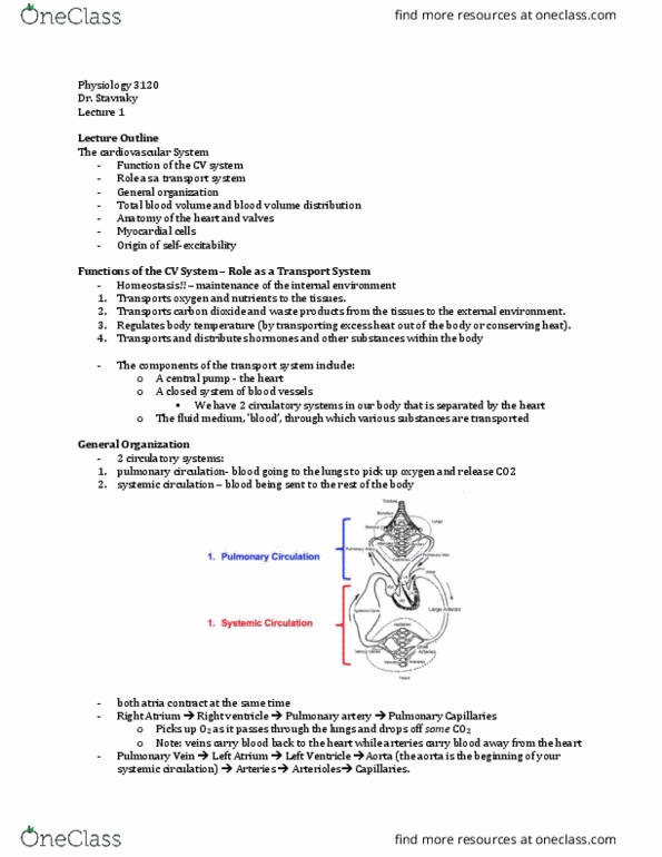 Physiology 3120 Lecture Notes - Lecture 1: Sinoatrial Node, Pulmonary Artery, Interventricular Septum thumbnail