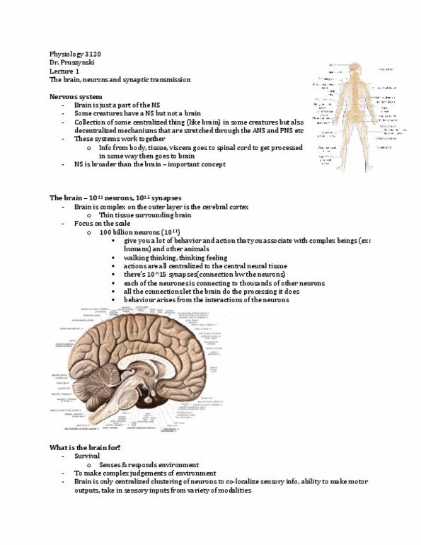 Physiology 3120 Lecture 1: Neuro1 thumbnail