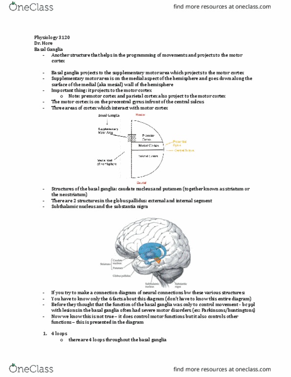 Physiology 3120 Lecture Notes - Lecture 5: Thalamus, Tourette Syndrome, Mptp thumbnail