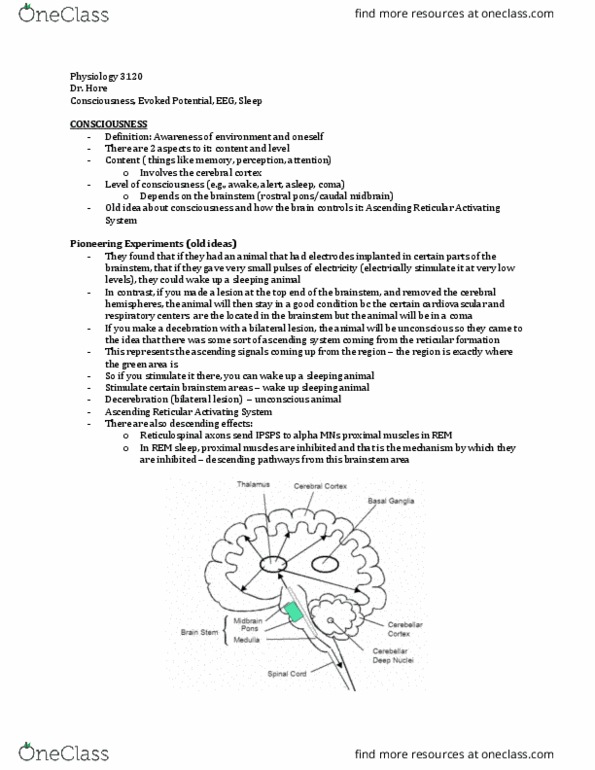 Physiology 3120 Lecture Notes - Lecture 6: Persistent Vegetative State, Muscle Tone, Middle Ear thumbnail
