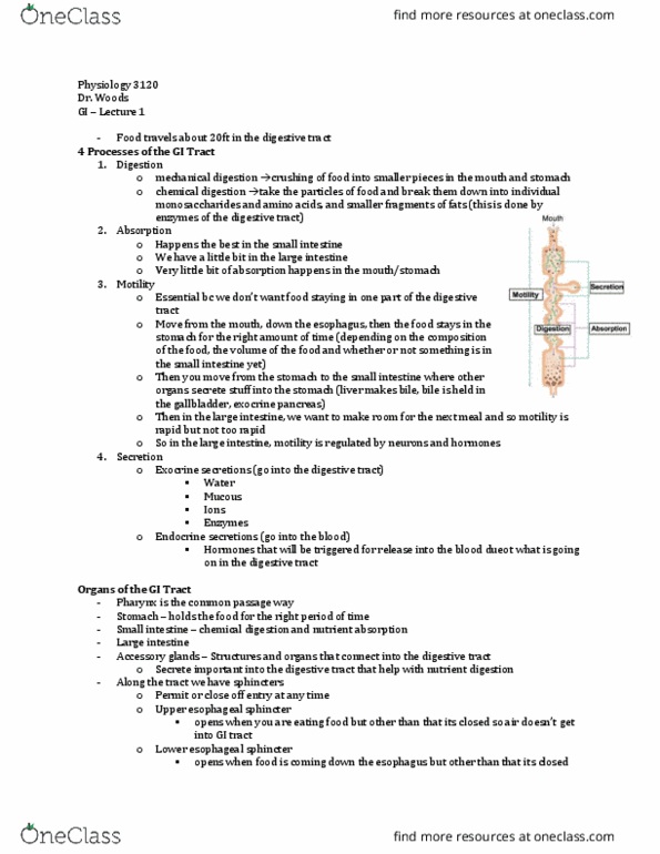 Physiology 3120 Lecture Notes - Lecture 1: Duodenum, Common Bile Duct, Mechanoreceptor thumbnail