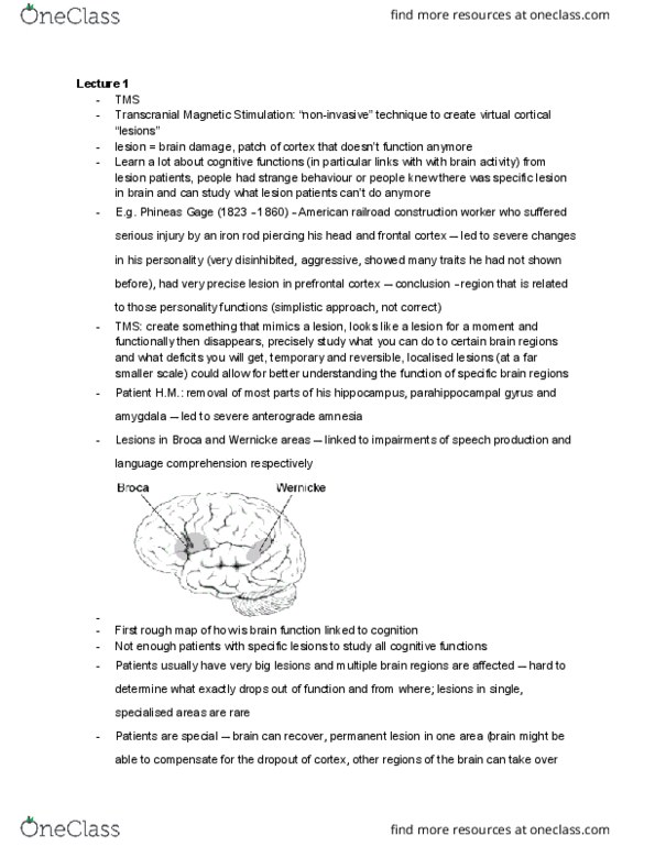 PSYC20006 Lecture Notes - Lecture 1: Phosphene, Visual Cortex, Anterograde Amnesia thumbnail