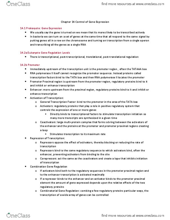 BIOA01H3 Chapter 14: Chapter 14 Control of Gene Expression.docx thumbnail