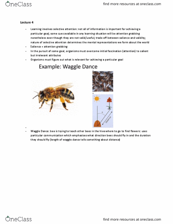 PSYC20007 Lecture Notes - Lecture 4: Connectionism, Graphical Model, Peptic Ulcer thumbnail