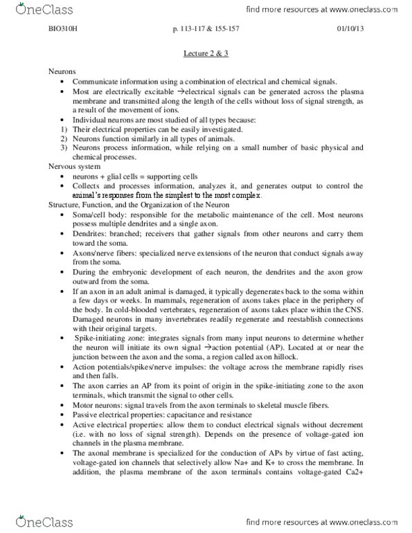 BLG 144 Lecture Notes - Lecture 2: Schwann Cell, Efferent Nerve Fiber, Axon Hillock thumbnail