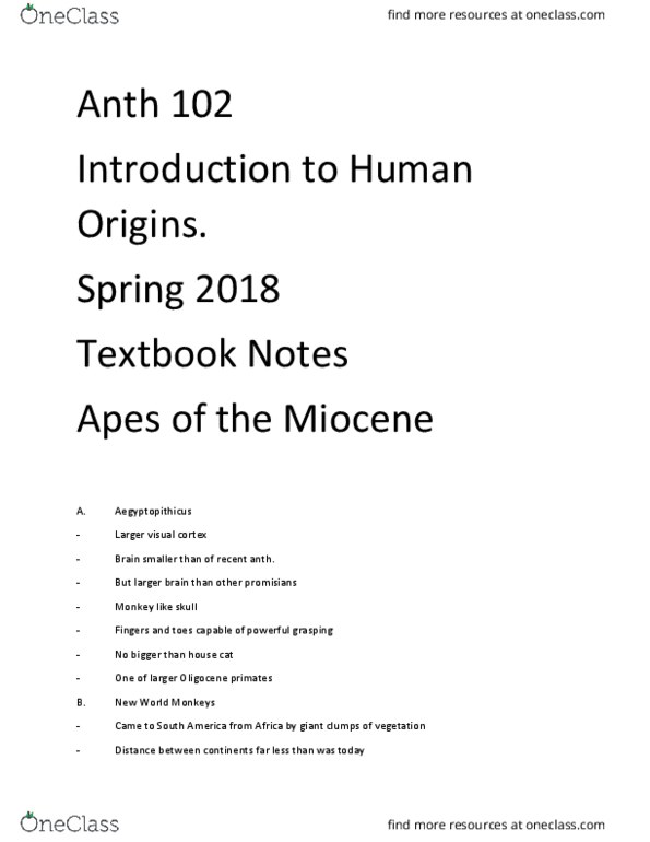 ANTH 102 Chapter 18: Apes of the Miocene thumbnail