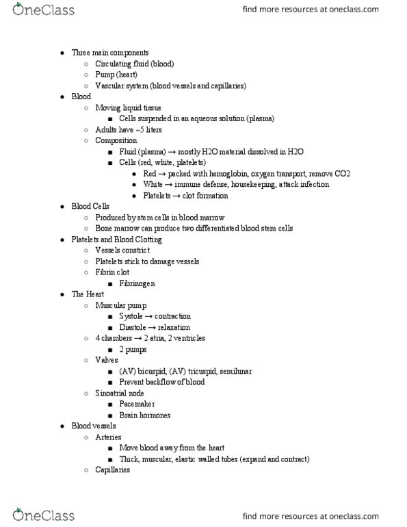 BISC104 Lecture Notes - Lecture 23: Varicose Veins, Sinoatrial Node, Bone Marrow thumbnail