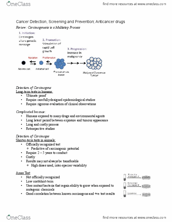 PHAR 100 Lecture Notes - Aromatase, Methotrexate, Microtubule thumbnail