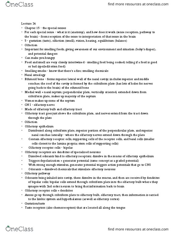 KAAP220 Lecture Notes - Lecture 24: Cribriform Plate, Olfactory Bulb, Nasal Septum thumbnail