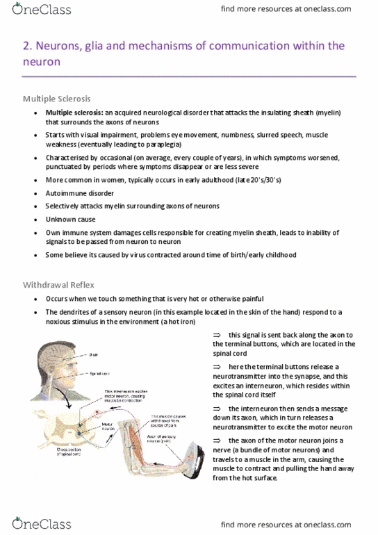 PSYC10003 Lecture Notes - Lecture 2: Multiple Sclerosis, Motor Neuron, Autoimmune Disease thumbnail