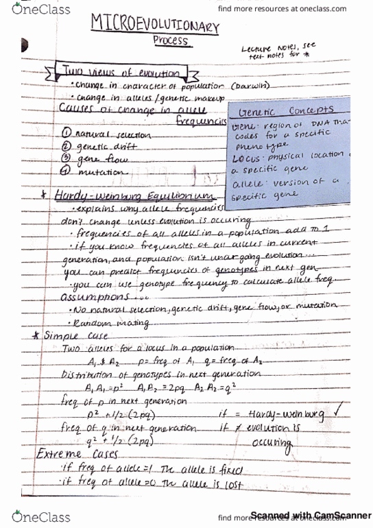 BIOE 20C Lecture 3: Lecture 3 Bio 20C - microevolutionary process thumbnail