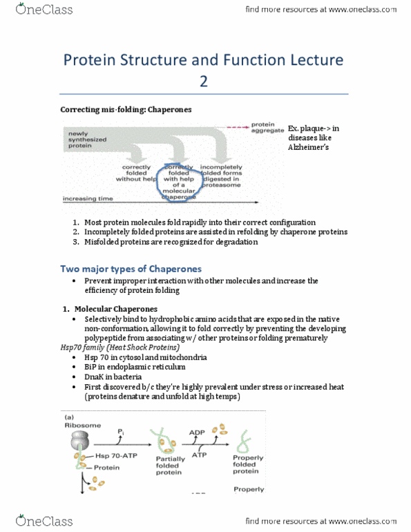 BIOLOGY 2B03 Lecture Notes - Lecture 2: Ubiquitin Ligase, Groel, Ubiquitin thumbnail