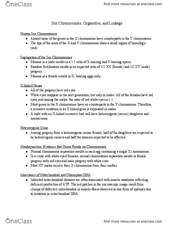 BIOL 1030H Lecture Notes - Lecture 11: Y Chromosome, Chloroplast Dna, Zygosity thumbnail