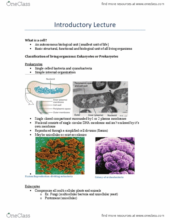 BIOLOGY 2B03 Lecture Notes - Purkinje Cell, Cell Membrane, Bacteria thumbnail