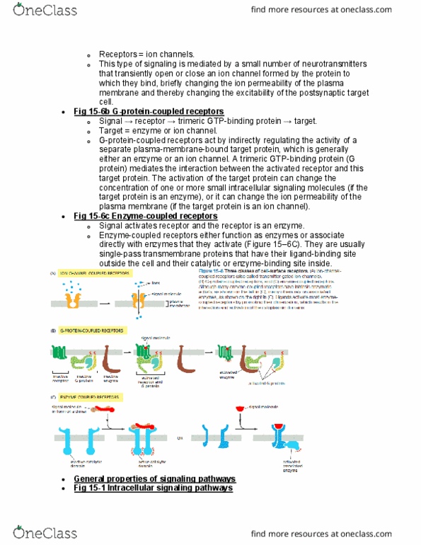 BIOL 2021 Lecture Notes - Lecture 11: Cell Membrane, Gtpase, Protein Kinase thumbnail