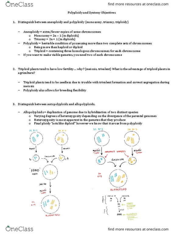 BIO 351 Lecture Notes - Lecture 10: Monosomy, Synteny, Polyploid thumbnail