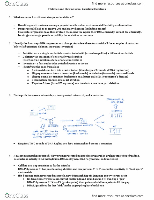 BIO 351 Lecture Notes - Lecture 9: Dna Polymerase Iii Holoenzyme, Dna Polymerase Ii, Dna Polymerase thumbnail