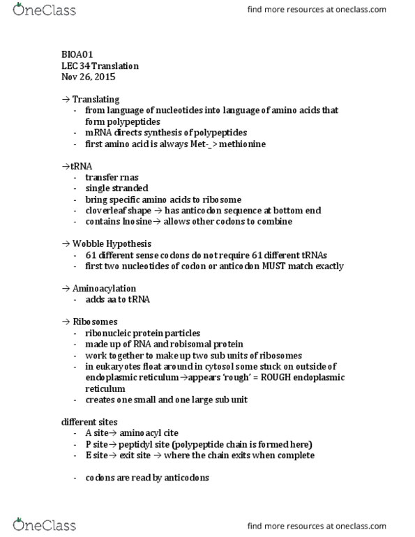 BIOA01H3 Lecture Notes - Lecture 34: Endoplasmic Reticulum, Aminoacylation, Inosine thumbnail
