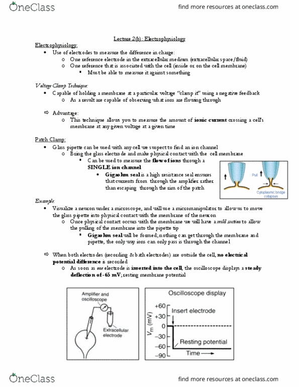 CSB332H1 Lecture Notes - Lecture 2: Voltage Clamp, Glass Electrode, Resting Potential thumbnail