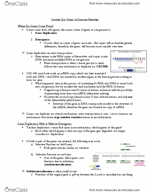 CSB349H1 Lecture Notes - Lecture 2: Copy-Number Variation, Fetal Hemoglobin, Gene Duplication thumbnail