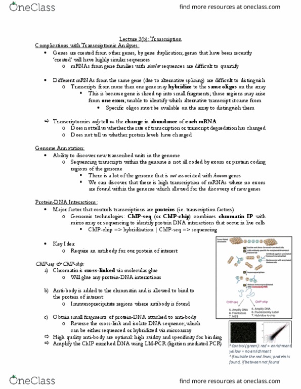 CSB349H1 Lecture Notes - Lecture 3: Gene Duplication, Crispr, Transcriptomics Technologies thumbnail