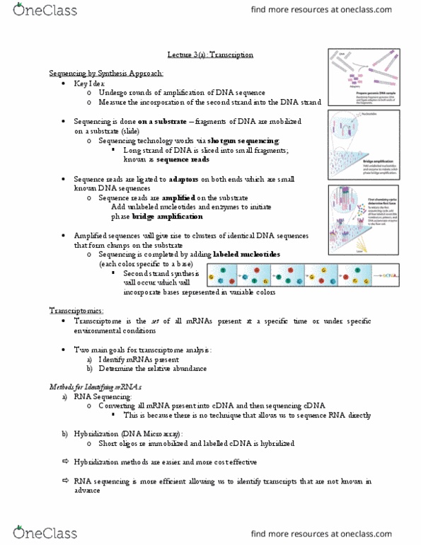 CSB349H1 Lecture Notes - Lecture 3: Dna Microarray, Shotgun Sequencing, Transcriptome thumbnail