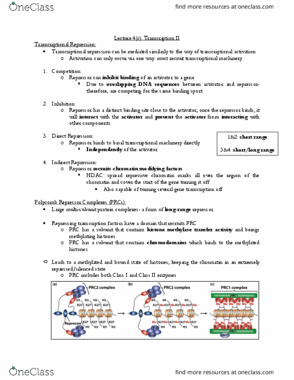 CSB349H1 Lecture Notes - Lecture 4: Repressor, Methyltransferase, Histone Deacetylase thumbnail