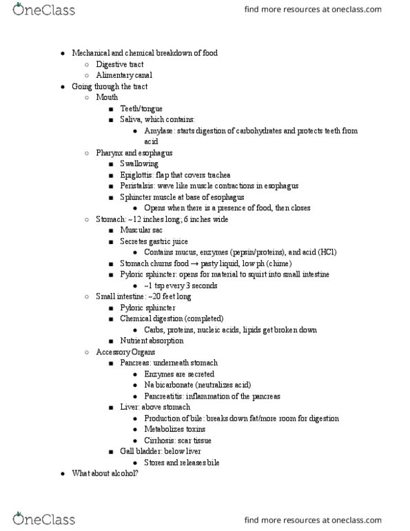 BISC104 Lecture Notes - Lecture 24: Pylorus, Sphincter, Gallbladder thumbnail