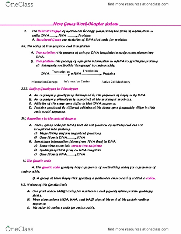 BIO-1801 Lecture Notes - Lecture 16: Start Codon, Central Dogma Of Molecular Biology, Reverse Transcriptase thumbnail