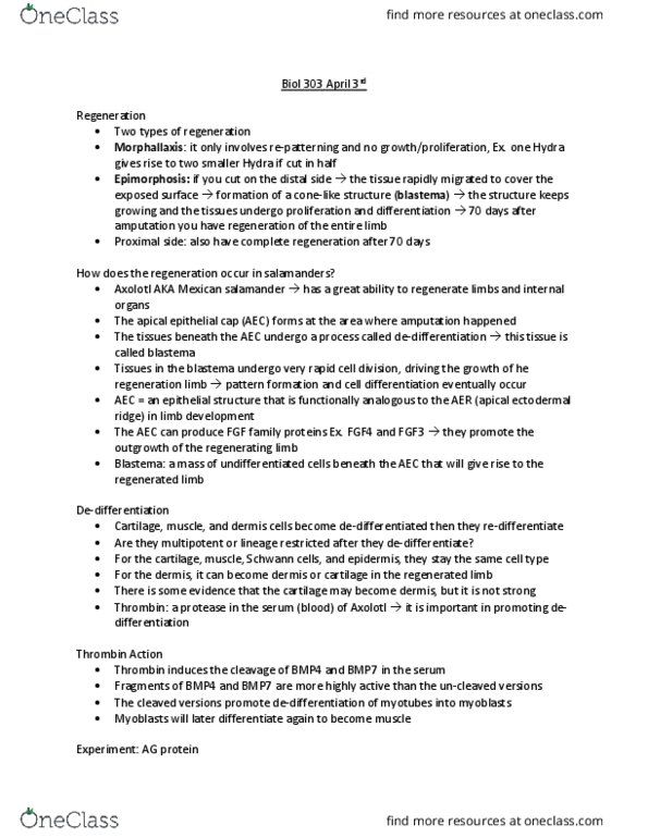 BIOL 303 Lecture Notes - Lecture 3: Apical Ectodermal Ridge, Blastema, Bone Morphogenetic Protein 7 thumbnail