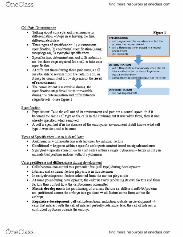 BIOL 303 Lecture Notes - Lecture 6: Fate Mapping, Intrinsic Factor, Blastomere thumbnail