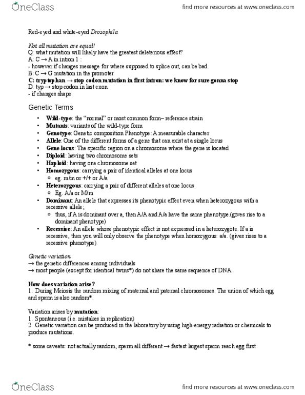 BIOL 205 Lecture Notes - Genetic Variation, Pattern Formation, Wild Type thumbnail