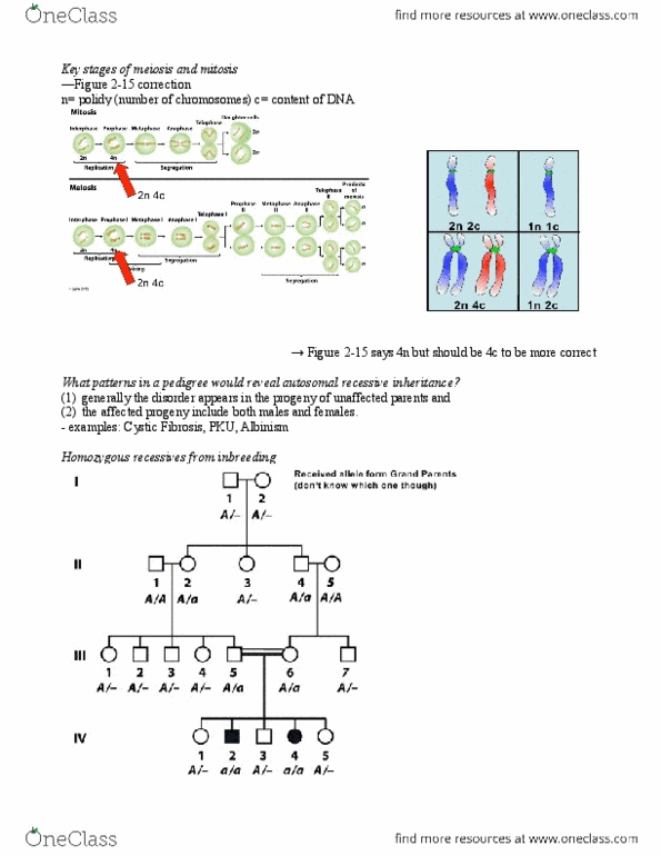 BIOL 205 Lecture Notes - Pseudoachondroplasia, Cystic Fibrosis, Null Allele thumbnail