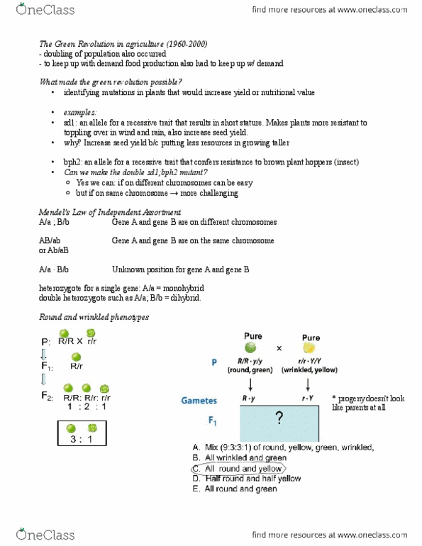 BIOL 205 Lecture Notes - Mendelian Inheritance, Punnett Square, Gamete thumbnail