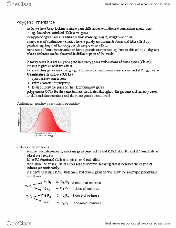 BIOL 205 Lecture Notes - Human Skin Color, Dihybrid Cross, Null Allele thumbnail