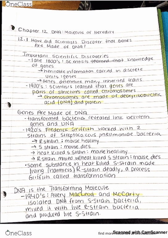 BIO 101 Lecture 9: Chapter 12 Notes thumbnail