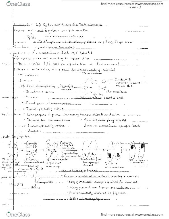 OEB 10 Lecture Notes - Xu, Horse Length thumbnail