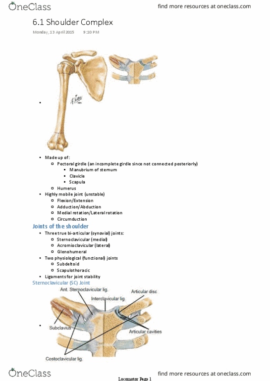 ANAT30007 Lecture Notes - Lecture 16: Glenohumeral Ligaments, Shoulder Joint, Sternoclavicular Joint thumbnail