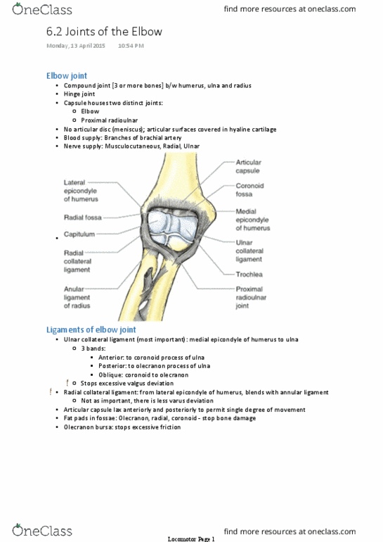 ANAT30007 Lecture 17: [H1/91 notes] Joints of the Elbow thumbnail