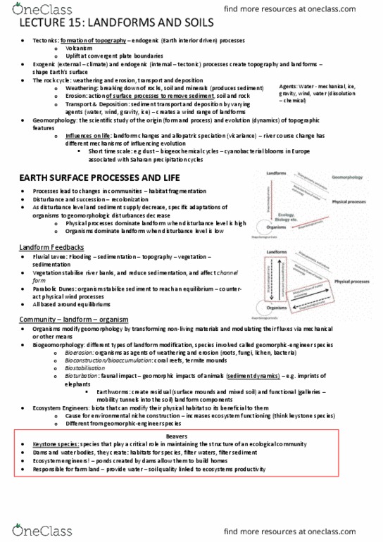 GEOG20009 Lecture 15: Lecture 15 Detailed Notes Landscapes & Diversity GEOG 20009 thumbnail