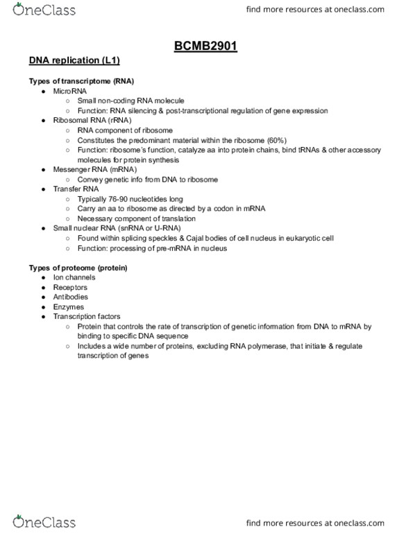 BCMB2901 Lecture Notes - Lecture 1: Small Nuclear Rna, Cell Nucleus, Ribosomal Rna thumbnail