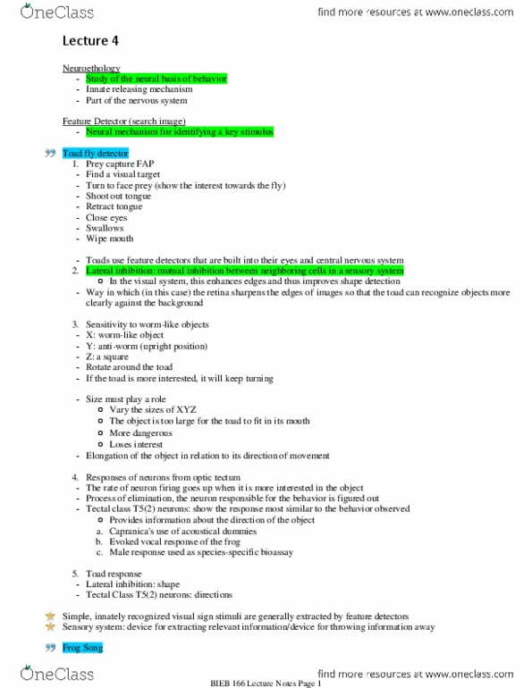 BIEB 166 Lecture Notes - Lecture 4: Superior Colliculus, Bioassay, Neuroethology thumbnail