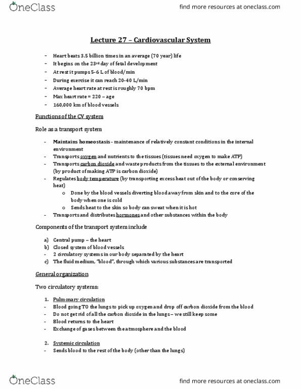 Physiology 3120 Lecture Notes - Lecture 27: Pulmonary Vein, Inferior Vena Cava, Superior Vena Cava thumbnail