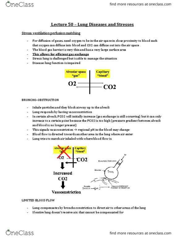 Physiology 3120 Lecture Notes - Lecture 50: Intrapleural Pressure, Smoke Inhalation, Innate Immune System thumbnail